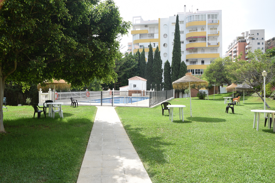Imagen 4