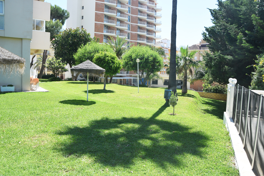Imagen 13