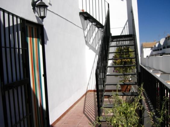 Imagen 10