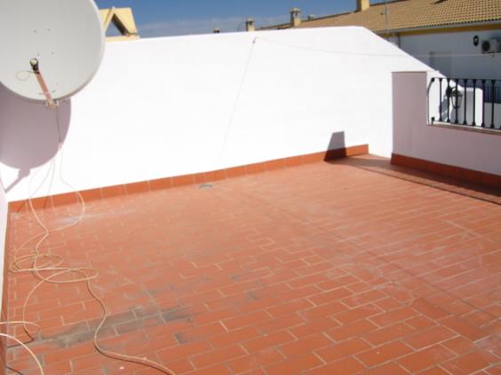 Imagen 7