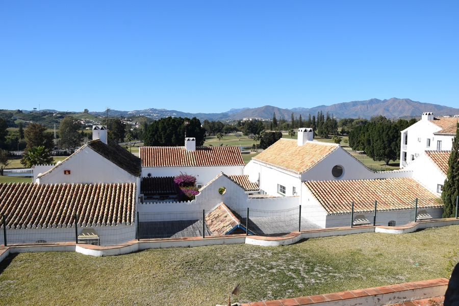 Imagen 5