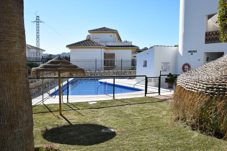 Imagen 8