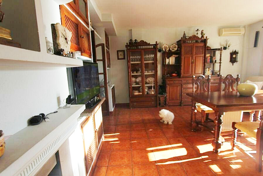Imagen 23