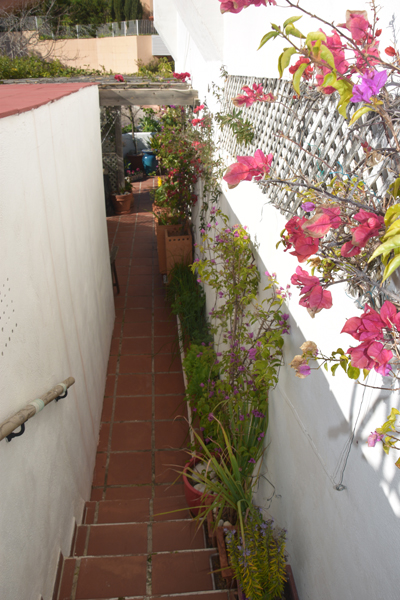Imagen 21
