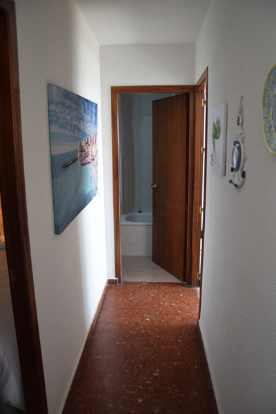 Imagen 15