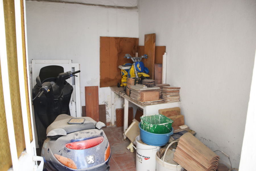 Imagen 20