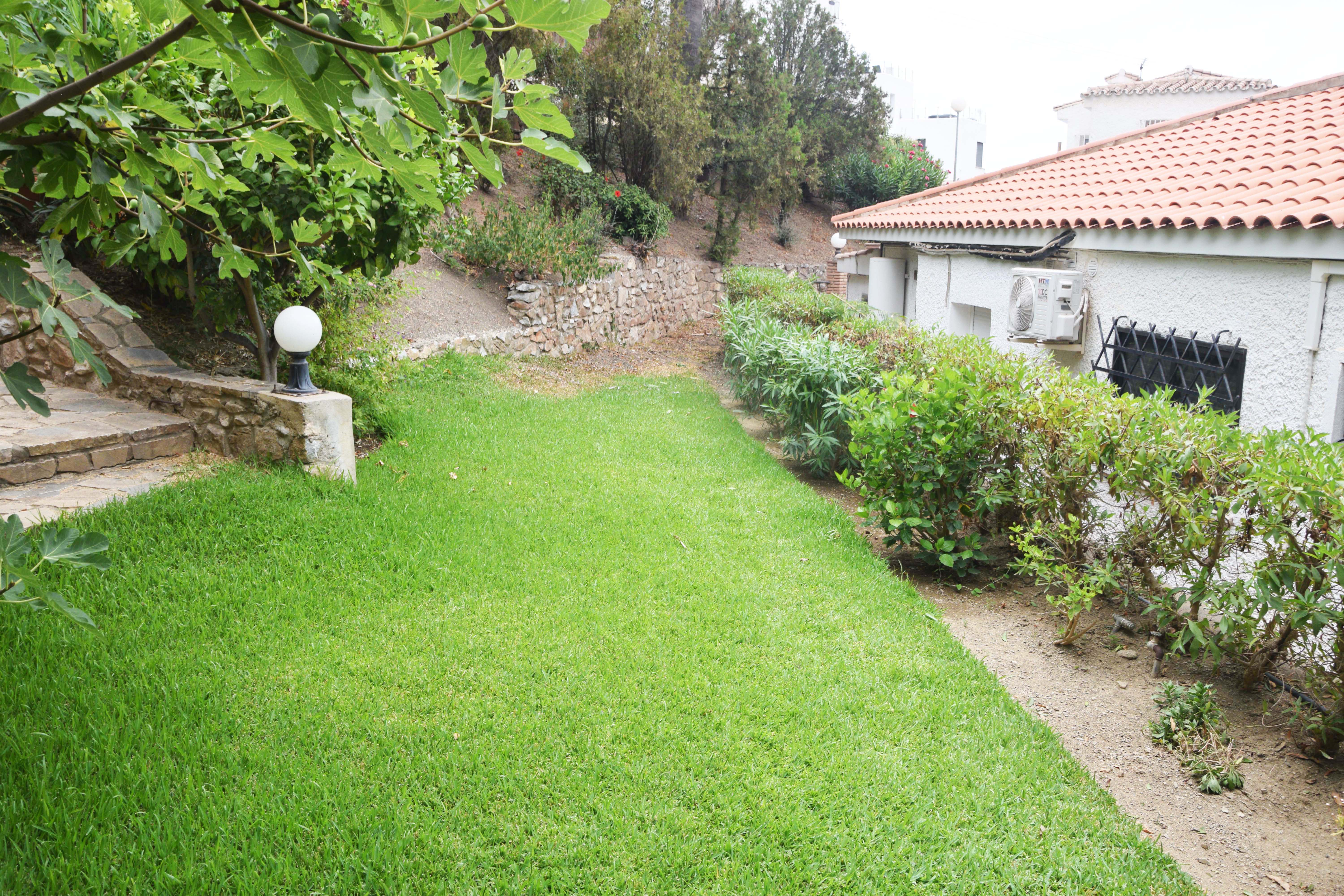 Imagen 15
