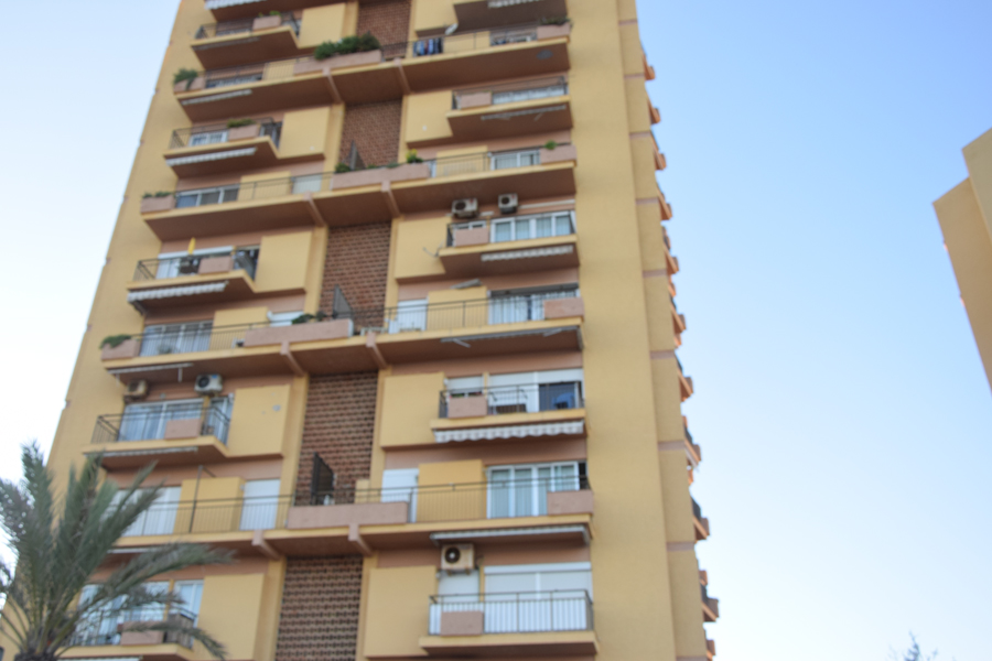 Imagen 14
